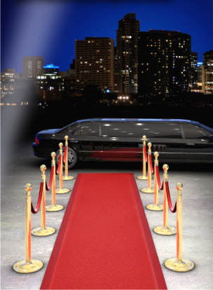 WebChamp VIP Services